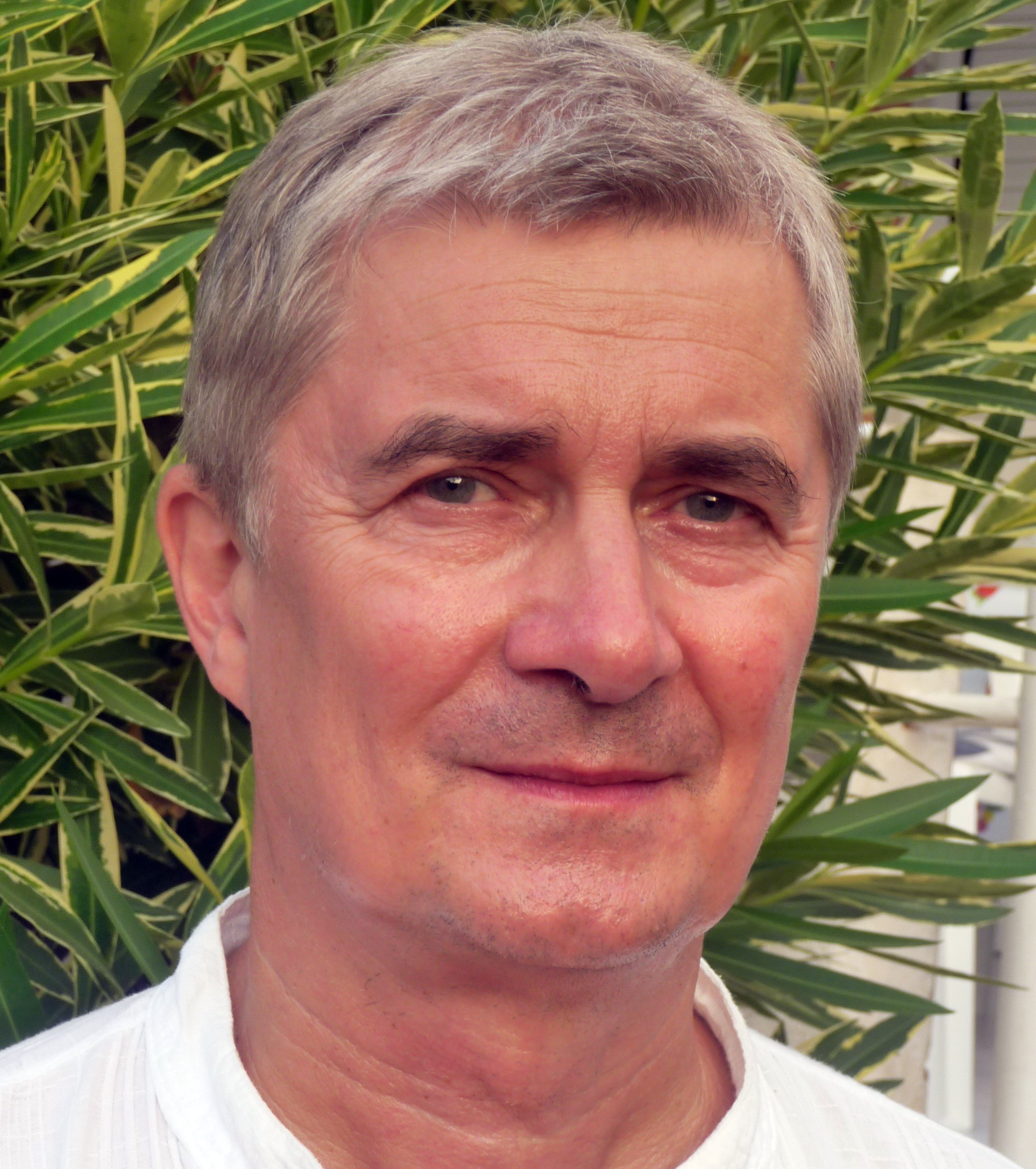 Prof. Dr. Andreas Meyerhans