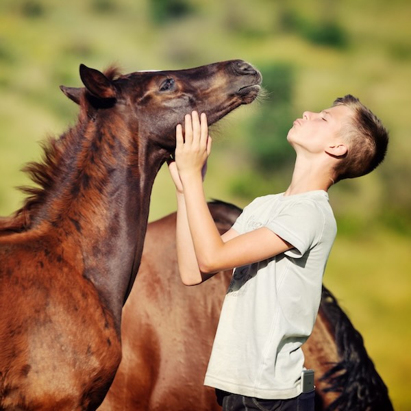 HeiQ Synbio for happy horses