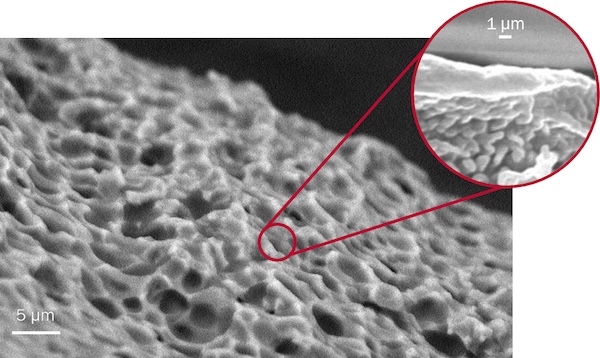 An illustration of the natural matrix with embedded prebiotics and probiotics of HeiQ Allergen Tech for fabric allergen reduction